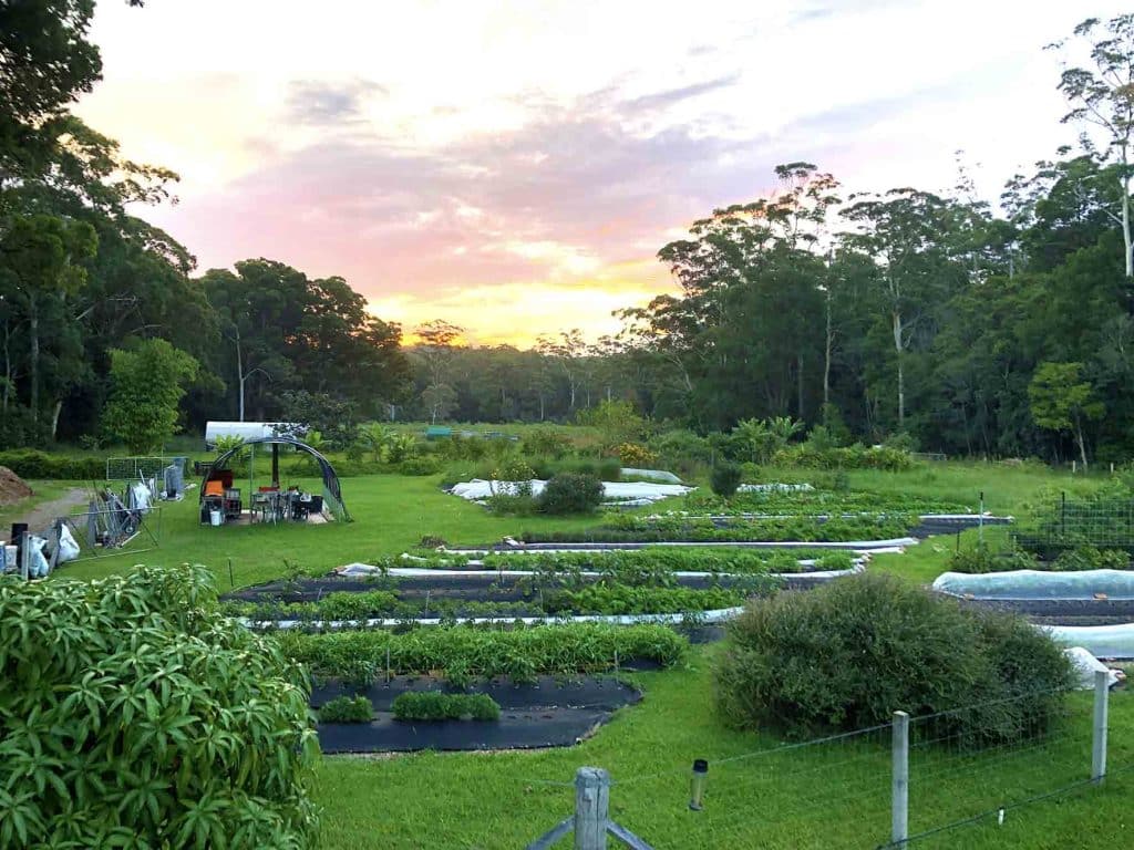 New Life Farm for The Happy Frog, Coffs Harbour