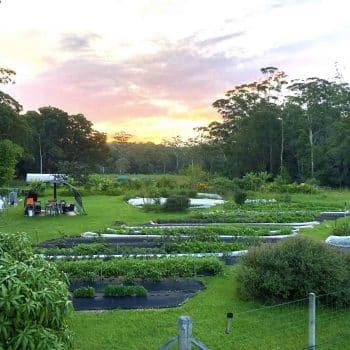New Life Farm for The Happy Frog, Coffs Harbour